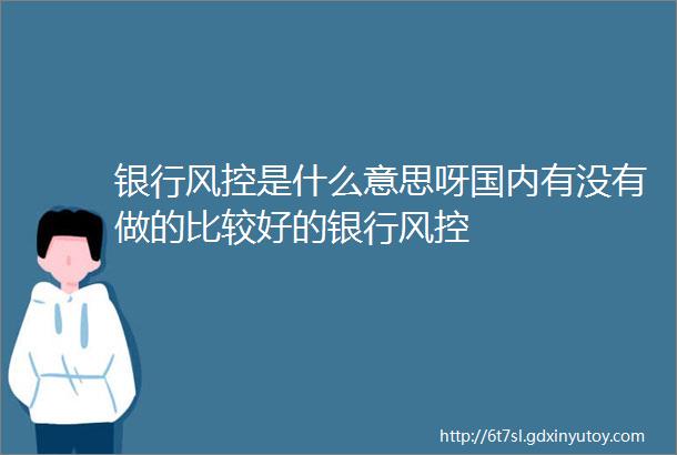 银行风控是什么意思呀国内有没有做的比较好的银行风控